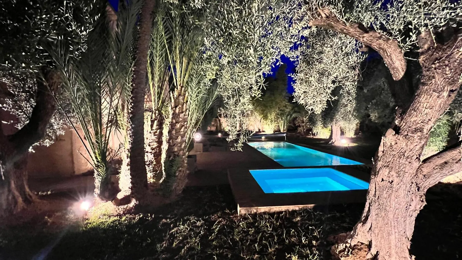 Villa Kasbah De Luxe, Piscine Et Jacuzzi Chauffes, Jardin Tropical Marrakesh 0*,