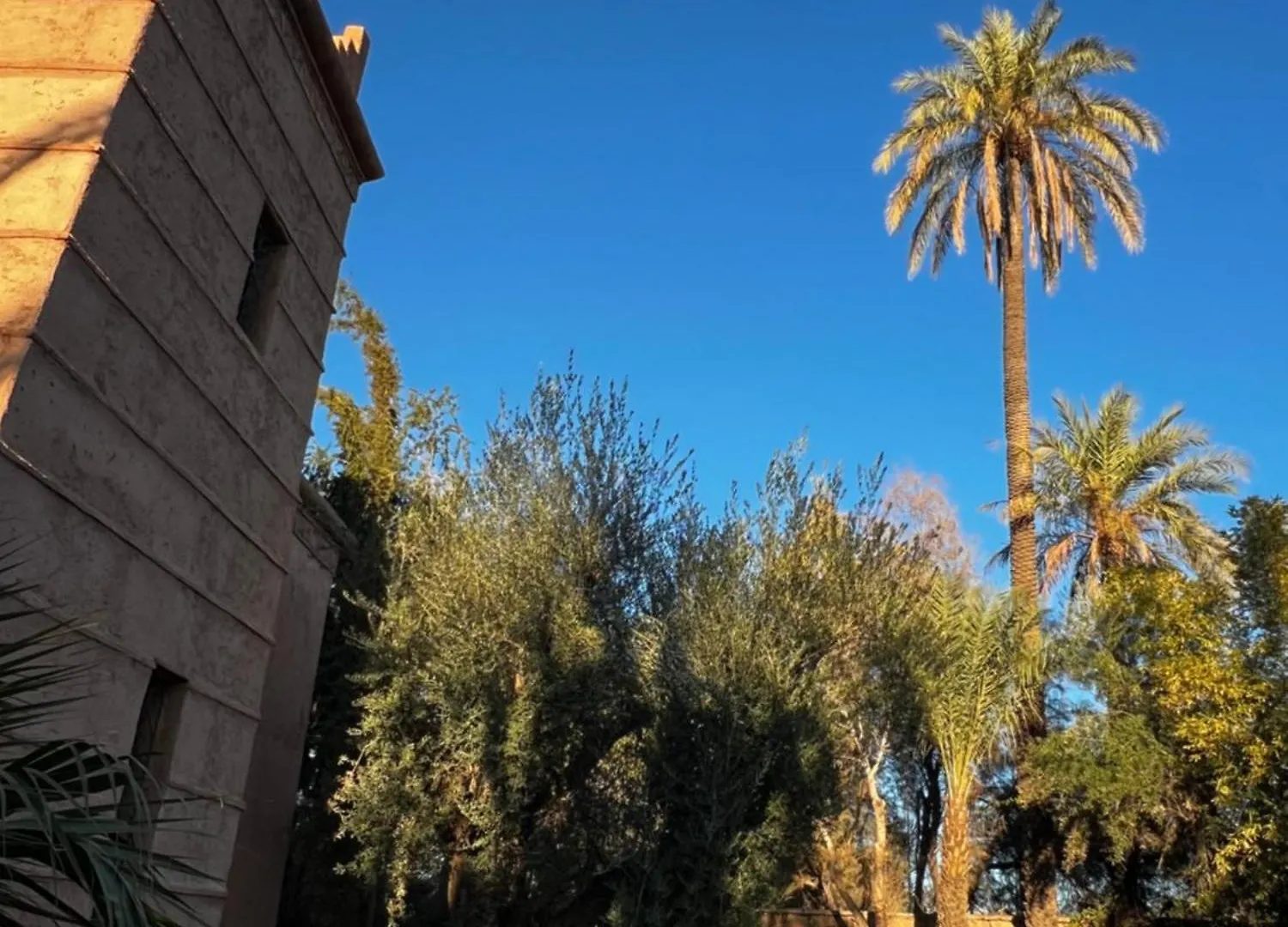 Villa Kasbah De Luxe, Piscine Et Jacuzzi Chauffes, Jardin Tropical Marrakesh
