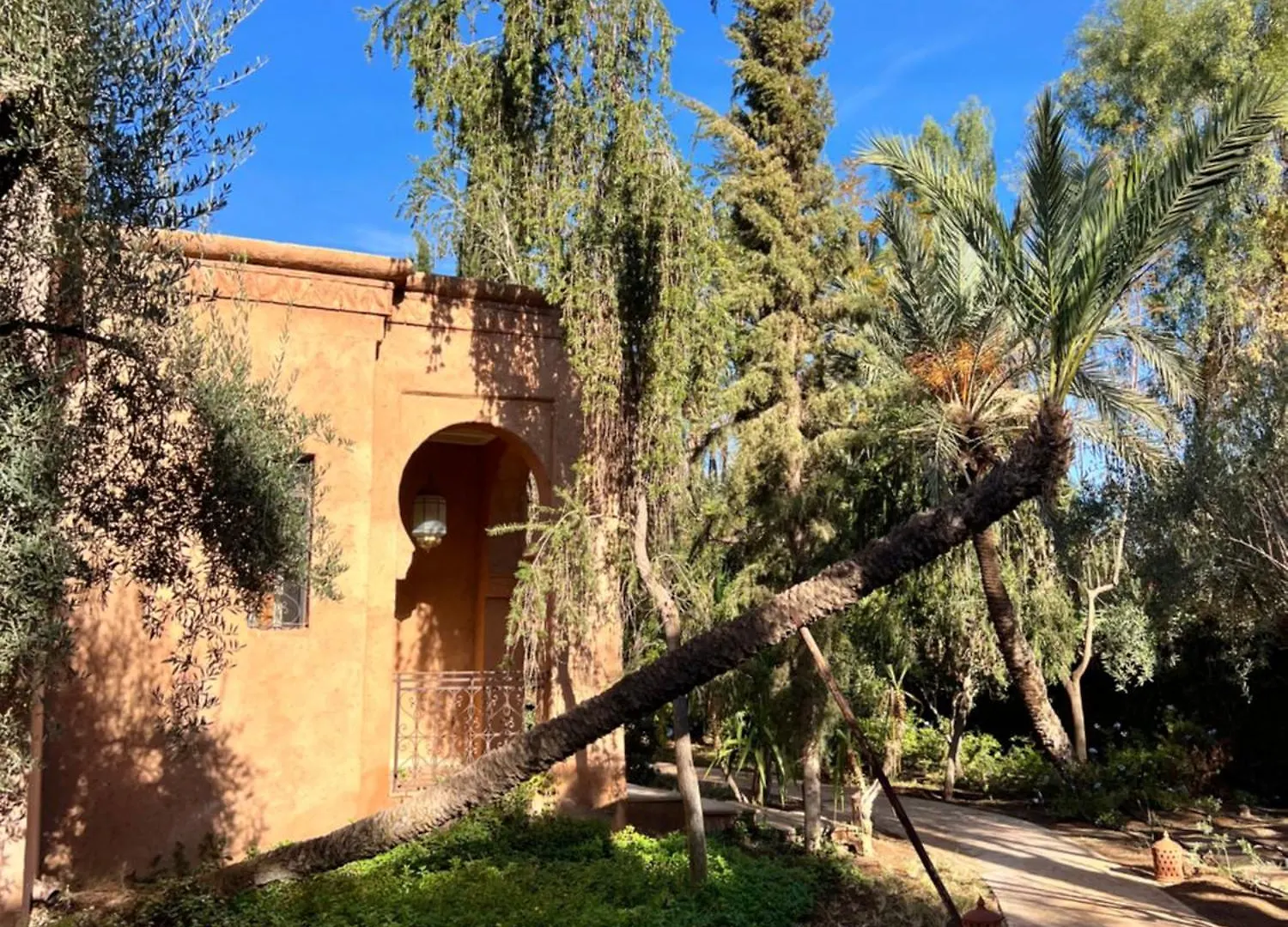 Villa Kasbah De Luxe, Piscine Et Jacuzzi Chauffes, Jardin Tropical Marrakesh